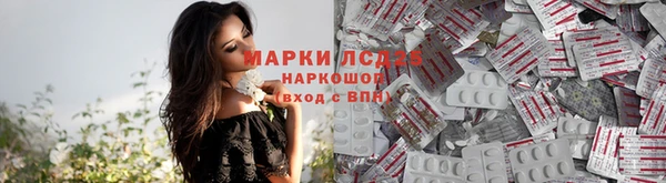 стаф Инсар