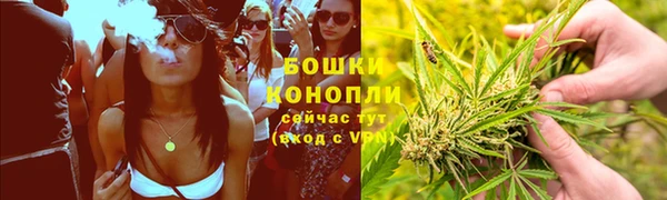 соль курить ск Заводоуковск