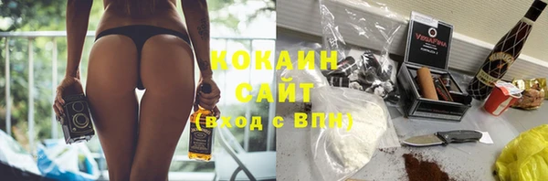 соль курить ск Заводоуковск