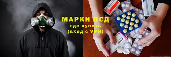 мяу мяу мука Иннополис