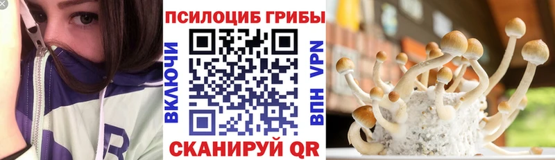 Псилоцибиновые грибы прущие грибы  Купить закладки  Заозёрск 